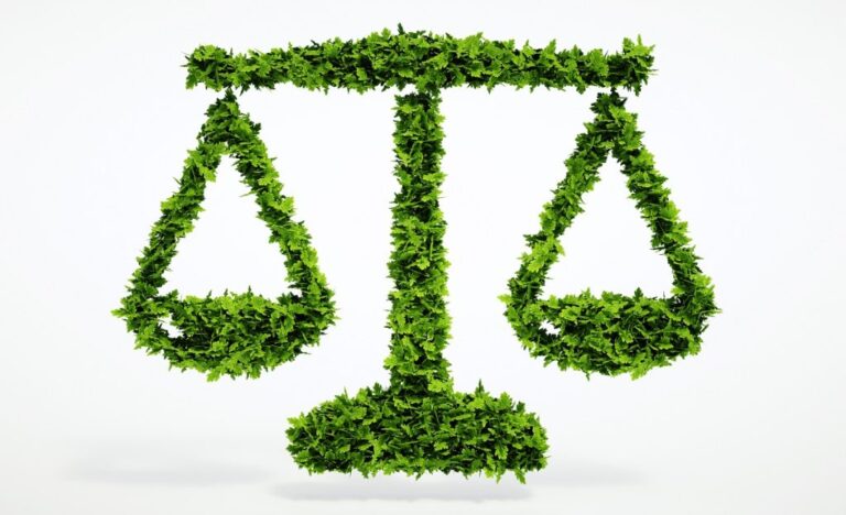 Amministratore responsabile anche per rifiuti abbandonati da terzi: la Cassazione estende la posizione di garanzia